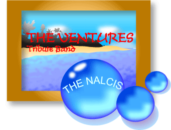 THE NALCIS